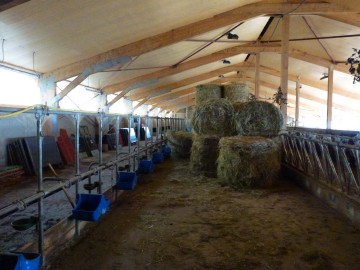 le bouchet mont charvin,marlens,vache,agriculture,visite