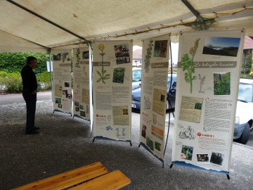 hery-sur-alby,association,plantes,nature,environnement