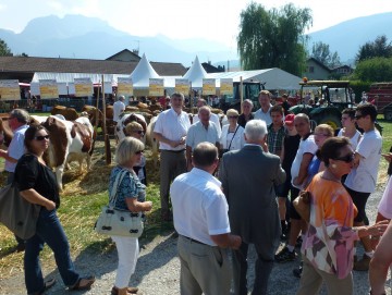 saint-jorioz,fete,laudon