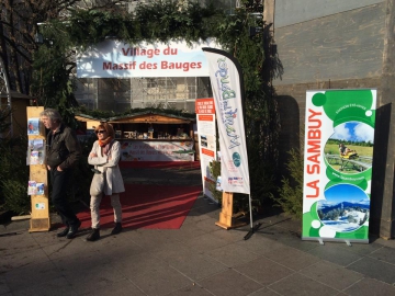 Visite du village du Massif des Bauges sur le marché de Noël d'Annecy 1.jpg