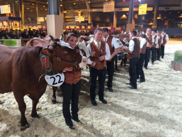 Concours général race Abondance et Tarentaise2.jpg