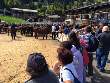 la clusaz,foire de la croix