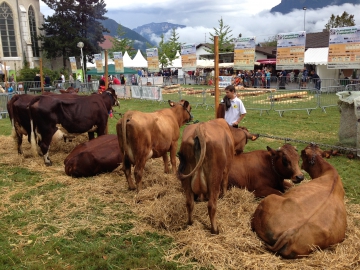 presse,essor,saint-jorioz,laudon,fête,haute-savoie