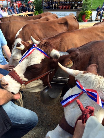 la clusaz,foire de la croix