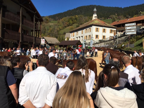 manigod,fete,eleveur,vache,agriculture,concours