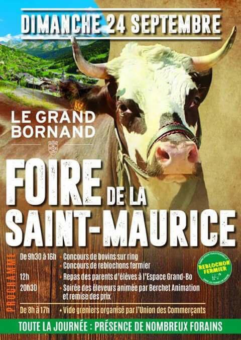 le grand-bornand,vache,agriculture,foire,eleveur