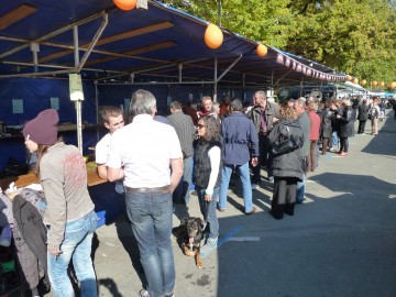 seynod,fête de l'automne,fête foraine,manège