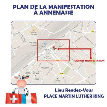 annemasse,manifestation,frontaliers,droit d'option