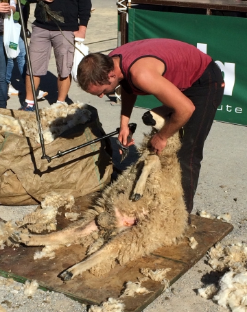 la clusaz,canton,chevres,moutons,animation,foire