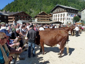 la clusaz,foire,vache,agriculteur,reblochon