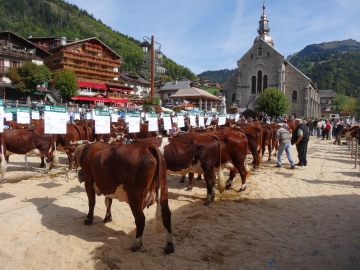 grand-bornand,saint-maurice,foire,agricole,betail,reblochon,bestiaux,haute-savoie,vache