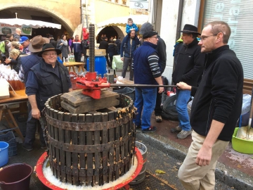 annecy,fete du caion,haute-savoie