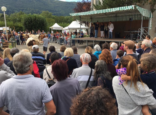 saintèjorioz,fete,agriculture,vache,forum,association