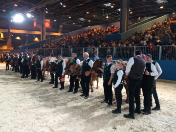 Concours général race Abondance et Tarentaise3.jpg