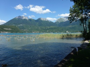 annecy,saint-jorioz,lac,lac d'annecy,roseliere,environnement,loi littoral,littoral