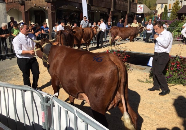 manigod,fete,eleveur,vache,agriculture,concours