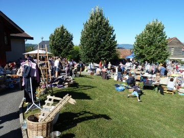 canton,viuz-la-chiesaz,saint-felix,chainaz-les-frasses,brocante,tracteur,mures,vide-grenier,presse,dauphine