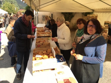 sevrier,fete du bidoyon,haute-savoie