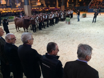 Concours général race Abondance et Tarentaise4.jpg