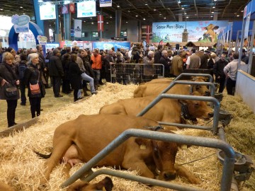 paris,haute-savoie,salon,agriculture,vache,reblochon,fromage