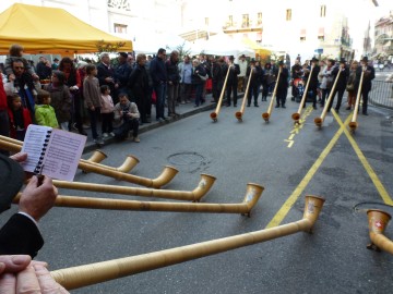 annecy,retour des alpages,fete,montagne,vache