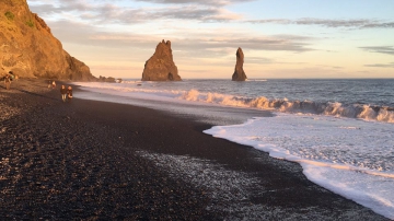 islande,visite officielle,chambre de commerce