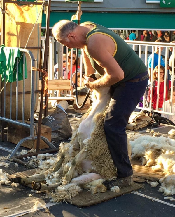 annecy,fete,agriculture,alpage