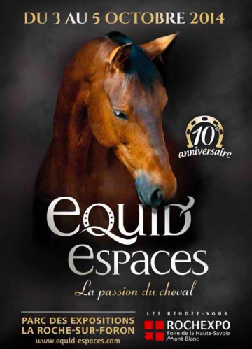 cheval-affiche-1366153383.jpg