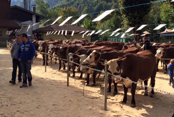 thones,foire,saint-maurice