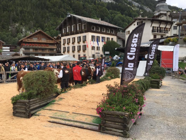 la clusaz,fete,vache,concours,reblochon,agriculture
