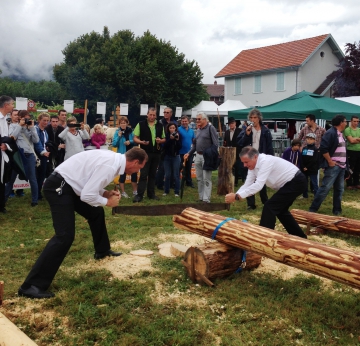 presse,essor,saint-jorioz,laudon,fête,haute-savoie