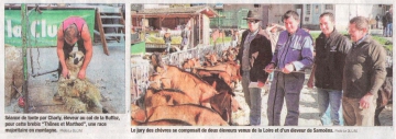 la clusaz,canton,chevres,moutons,animation,foire