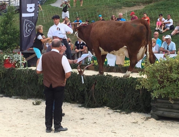 la clusaz,foire de la croix,champ giguet,haute-savoie