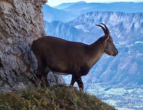 montmin,montagne,randonnee,la tournette,les clefs