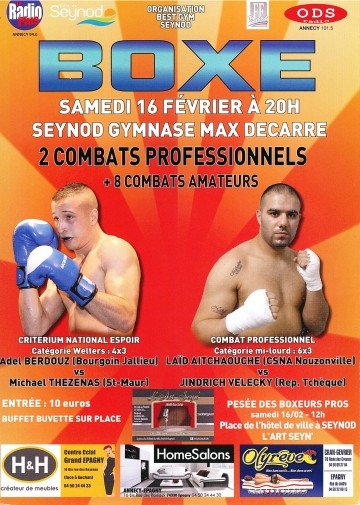 seynod,boxe,combat