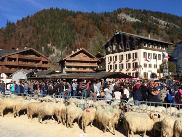 la clusaz,canton,chevres,moutons,animation,foire