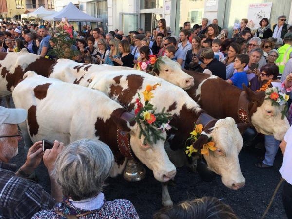 annecy,fete,agriculture,alpage