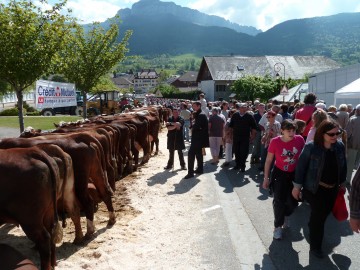 saint-felix,seynod,villaz,course,foire,vide grenier,vache