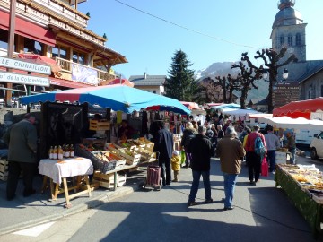 le grand-bornand,la clusaz,saint-jean-de-sixt,legislatives 2012,tractage