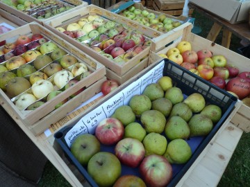 serraval,fete,pomme,anne,cidre