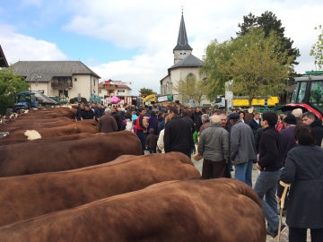 villaz,presse,dauphine,foire,agriculture,tourisme,vache