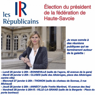 elecetion,ump,les republicains,vote,election,haute-savoie