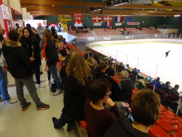 annecy,ffsg,patinage,championnat