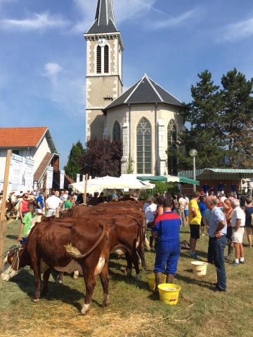 saint-jorioz,fete,pays du laudon,haute-savoie