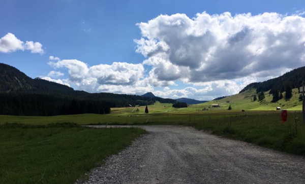 glieres,plateau,resistance