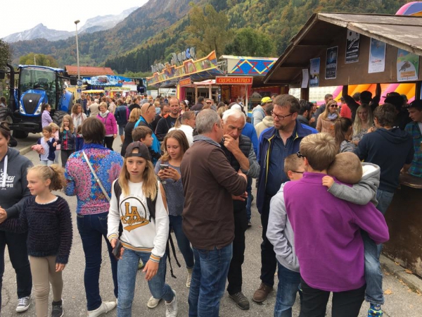 thones,foire,saint-maurice,vache,agriculture