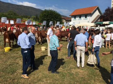 saint-jorioz,fete,pays du laudon,haute-savoie