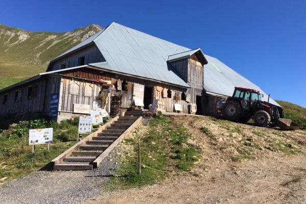 le grand-bornand,refuge,montagne,alpage,trail,pointe percee