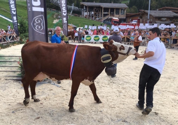 la clusaz,foire de la croix,champ giguet,haute-savoie