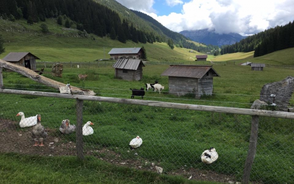 glieres,plateau,resistance